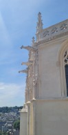 20250520_142710.jpg 20250520_142710.jpg